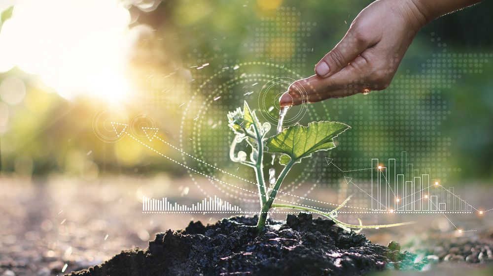 Growth—Products and Services That Help Your Practice Accomplish More of It, by Terri Lively w/ Dental Products Report, Dental Products Report November 2021, Volume 55, Issue 11 Image